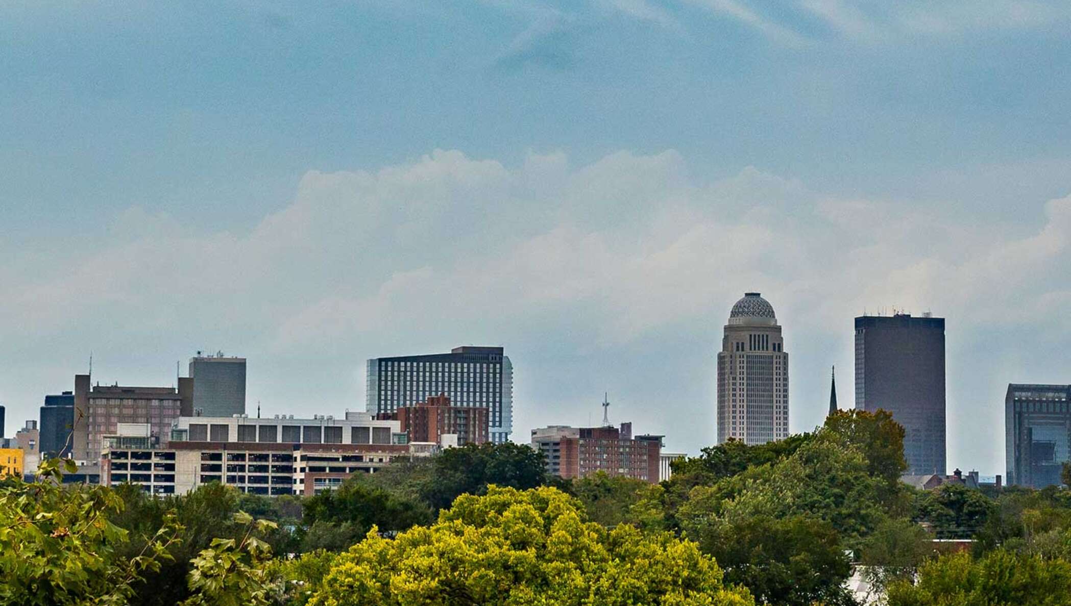 Louisville, Kentucky skyline with tops of the nearby forest on the foreground