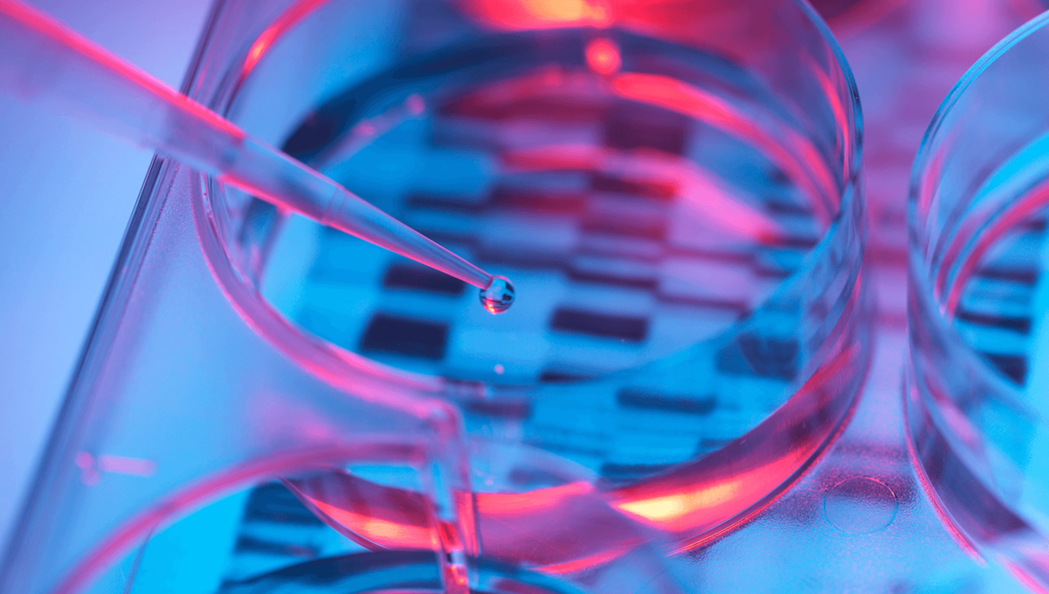 A pipette with a bead of water over a petri dish in a dark room.